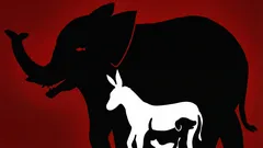 Zajímavá optická iluze: kolik zvířat dokážete na tomto obrázku vidět za 10 sekund?