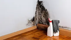 Proč se za nábytkem objevuje plíseň? Málokdo se zamyslí nad jedním důležitým důvodem.